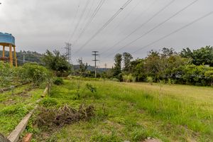 Image 52 - 275379