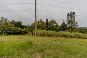 Image 53 - 275379