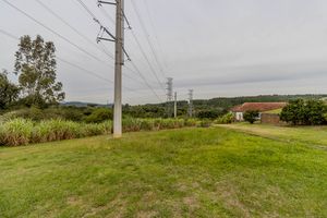 Image 54 - 275379