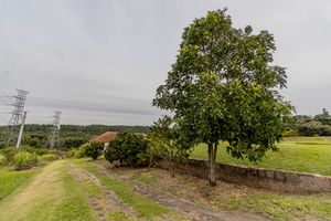 Image 55 - 275379