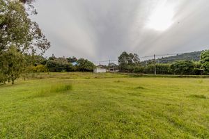 Image 63 - 275379