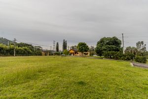 Image 64 - 275379