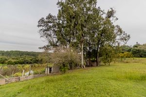 Image 65 - 275379
