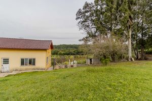 Image 67 - 275379