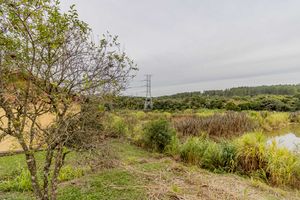 Image 68 - 275379