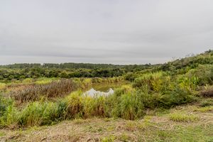 Image 69 - 275379