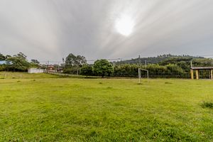 Image 72 - 275379