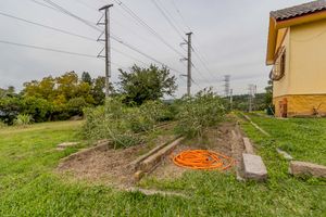 Image 74 - 275379