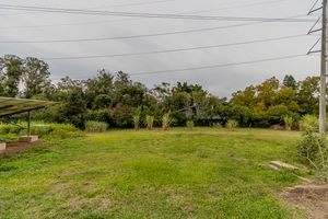 Image 75 - 275379