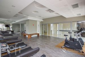 Image 33 - 275770