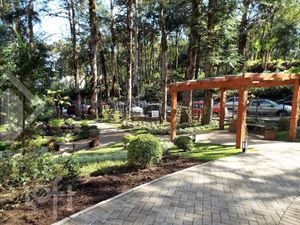 Image 8 - 275802