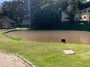 Image 15 - 275939
