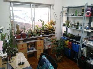 Image 17 - 277341