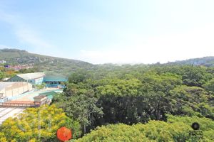 Image 17 - 277448