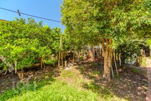 Image 17 - 277453