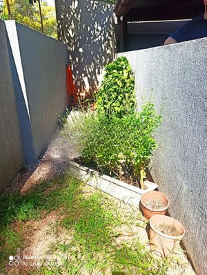 Image 8 - 277637