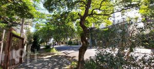 Image 15 - 278089