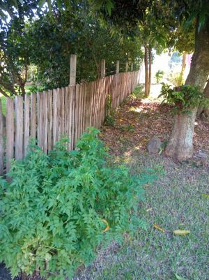 Image 4 - 278997