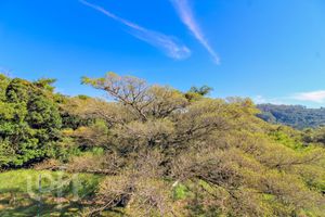 Image 7 - 279239