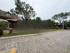 Image 77 - 279242