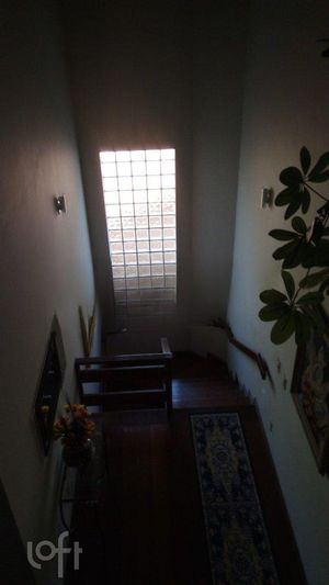 Image 22 - 279457