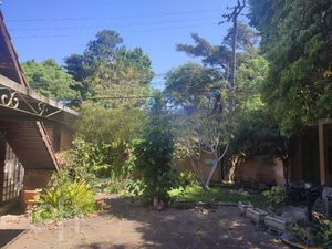 Image 13 - 279958