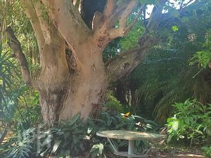 Image 12 - 279958