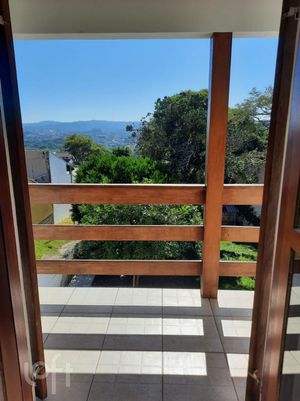 Image 5 - 279983
