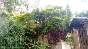 Image 11 - 281180