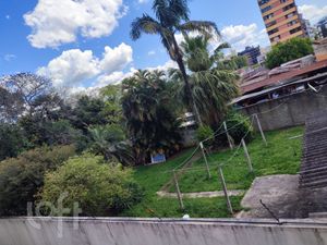 Image 24 - 281616