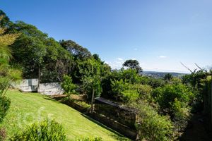 Image 30 - 281733