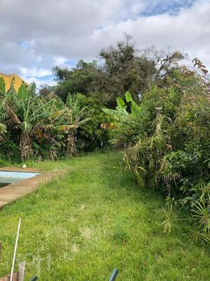 Image 13 - 281875