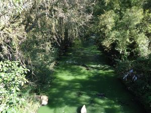 Image 42 - 282316