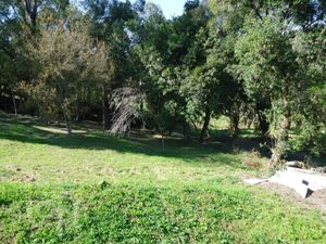 Image 6 - 282316