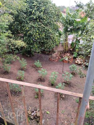 Image 23 - 282592