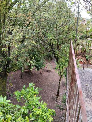 Image 24 - 282592