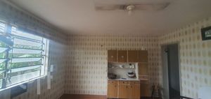 Image 6 - 282592