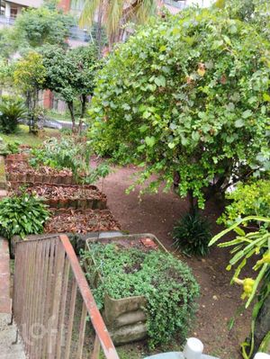 Image 25 - 282592