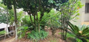 Image 13 - 282592
