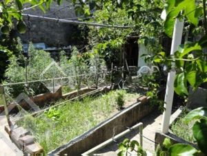 Image 9 - 282765