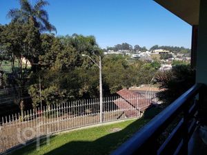 Image 17 - 283033