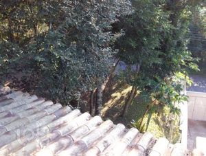Image 9 - 283411