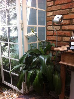 Image 14 - 283529
