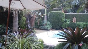 Image 13 - 283529