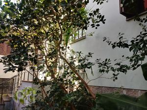 Image 16 - 283687