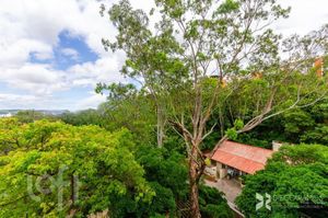 Image 27 - 284317