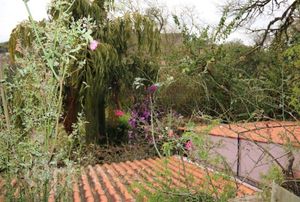 Image 37 - 284334