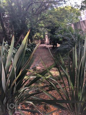 Image 25 - 284629