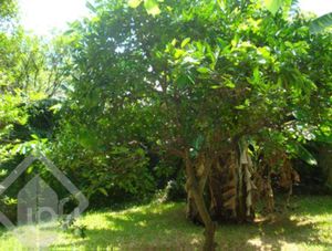 Image 29 - 284789