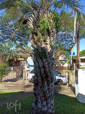 Image 6 - 284825